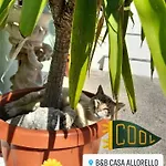 Casa Allorello 4* Laureana Cilento