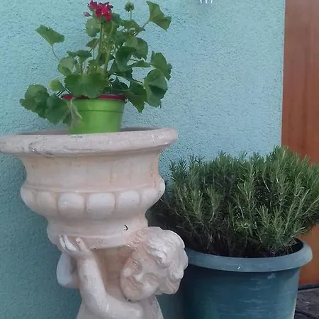 Casa Allorello 4* Laureana Cilento