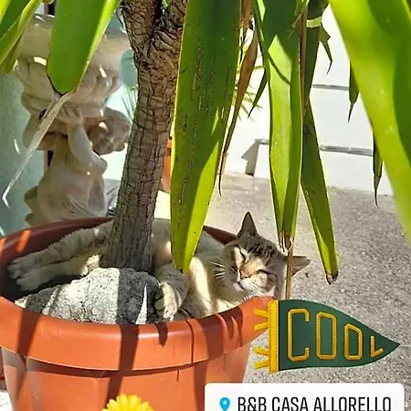 Frühstückspension Casa Allorello