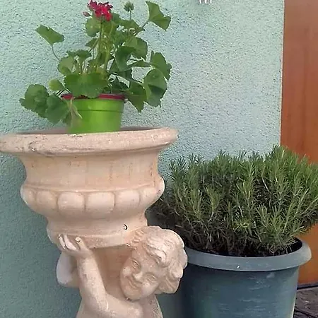 Frühstückspension Casa Allorello 4*