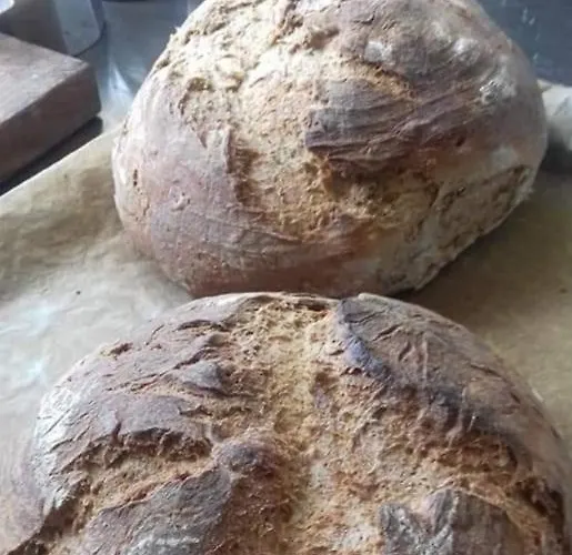 Casa Allorello Laureana Cilento